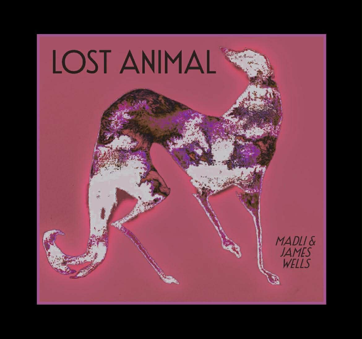Lost Animal Cover
